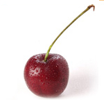Cherry Kernel - Vegetable, Carrier, Emollients & other Oils