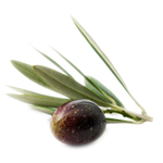 Olive Refined - Vegetable, Carrier, Emollients & other Oils