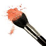 Blush or Bronzer Brush