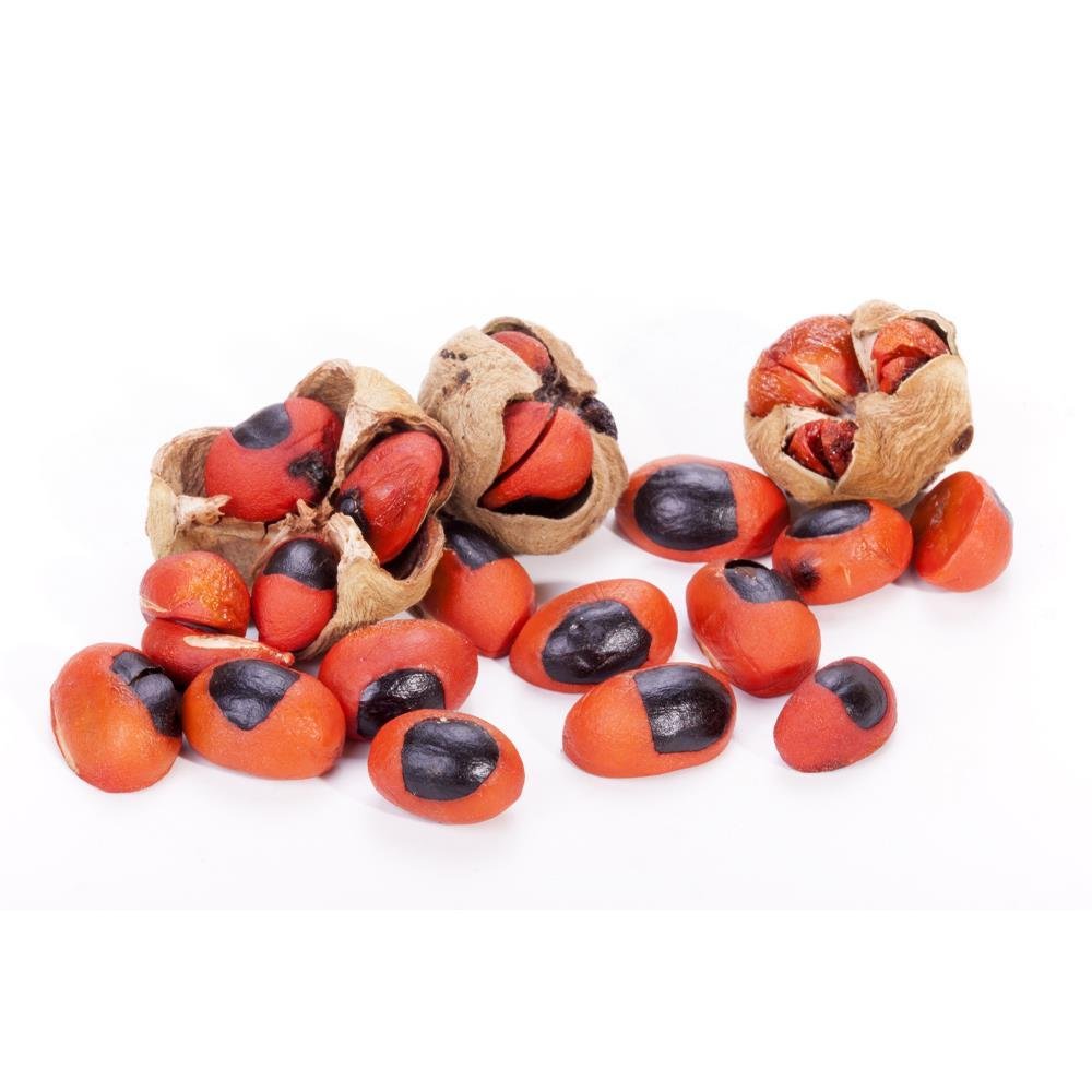 1 LT Mafura Butter - New Directions 