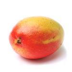 Mango Powder - Fruit & Herbal Powder Extracts