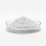 Ectoin SkinBoost - Active Ingredients