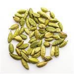 Cardamom - Essential Oils