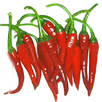 Chilli Seed - Essential Oils