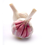 Garlic - Essential Oils