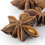 Star Anise Essential Oil