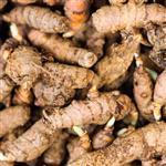 Turmeric Essential Oil