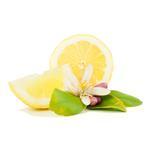 Lemon Blossom - Fragrant Oils