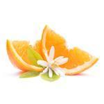Orange Blossom - Fragrant Oils
