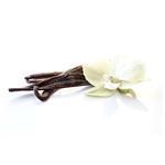 Sweet Vanilla - Fragrant Oils