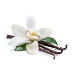 Tahitian Vanilla Fragrance - Fragrant Oils