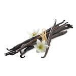 Vanilla CO2 3% in Jojoba Oil - Precious Oil Dilutions
