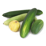 Cucumber - Vegetable, Carrier, Emollients & other Oils