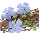 Flaxseed (Linseed) Virgin Oil