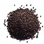 Hemp Seed Australian Virgin Oil - Vegetable, Carrier, Emollients & other Oils