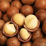 Macadamia Virgin Oil - Australian