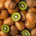Kiwi Fruit Seed Refined Oil