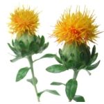 Safflower Refined Oil - Vegetable, Carrier, Emollients & other Oils