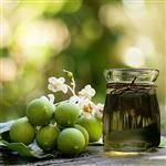 Tamanu Oil