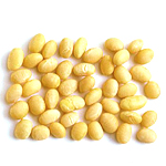 Soya Bean Refined Oil - Vegetable, Carrier, Emollients & other Oils