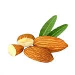 Almond Sweet - Water Dispersible Massage Bases