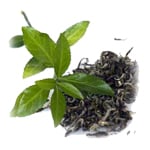Green Tea - Liquid Extracts [Water Based]