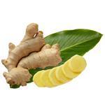 Ginger - Certified Organic Essential Oils - ACO 10282P