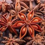 Star Anise Essential Oil Certified Organic