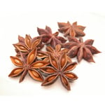Star Anise - Certified Organic Essential Oils - ACO 10282P