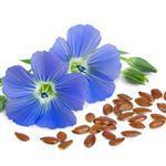 Flaxseed Virgin Oil - Certified Organic Vegetable & Carrier Oils - ACO 10282P