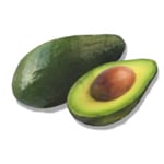 Avocado Virgin - Certified Organic Vegetable & Carrier Oils - ACO 10282P