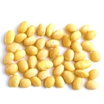 Soya Bean Virgin - Certified Organic Vegetable & Carrier Oils - ACO 10282P