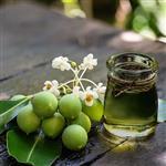 Tamanu Oil - Certified Organic