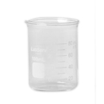Glass Beaker with Spout 100ml