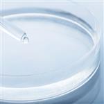 Beta Glucan Liquid - (Skin Active)