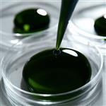 Chlorophyll (Green) Plant Derived Colour Water Soluble