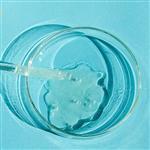 Caprylyl / Capryl Glucoside