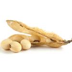 Soya Lecithin - Solubilisers & Emulsifiers