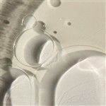 Vitamin E Synthetic
