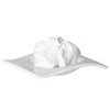 100mL Body Custard - Ultra Gentle Range