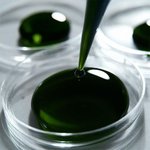 100g Chlorophyll (Green) Plant Derived Colour Water Soluble