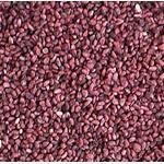 17 ml Raspberry Seed CO2 Oil