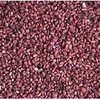 17mL Raspberry Seed CO2 Oil