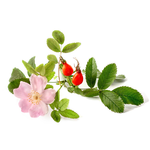 6mL Rosehip CO2 Oil
