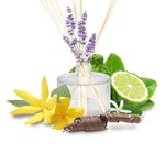 17mL Anxiety Essential Oil Blend