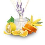 1kg Stress Relief Essential Oil Blend