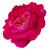 100 ml Rose Damask Absolute 3% in Jojoba Oil