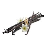 17mL Vanilla CO2 3% in Jojoba Oil
