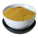 15 g Golden Seal Root [20:1] Powder - Fruit & Herbal Powder Extracts