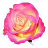100mL Rose Turkish Absolute
